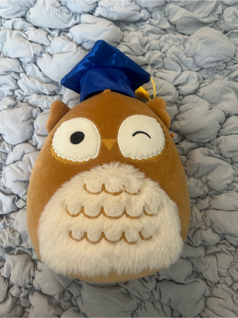 Squishmallows Brown Plush graduate Owl with Cream Tag
